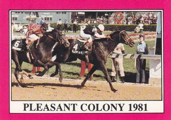 1991 Horse Star Kentucky Derby #107 Pleasant Colony Front
